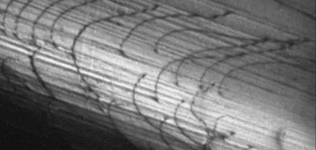 Interdisciplinary Engineering: How to Leverage Analogies Across Domains to Solve Problems